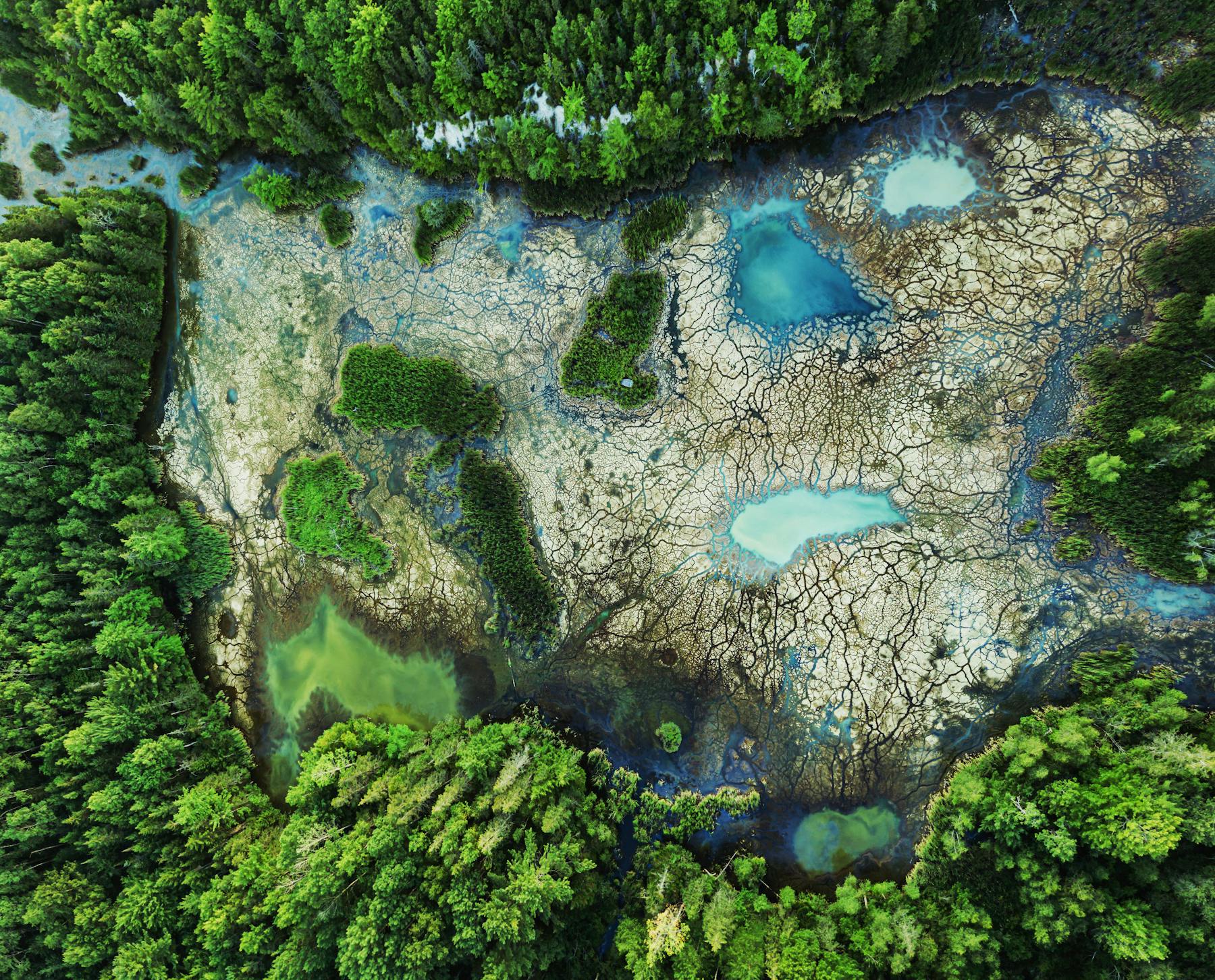 Aerial view of nature